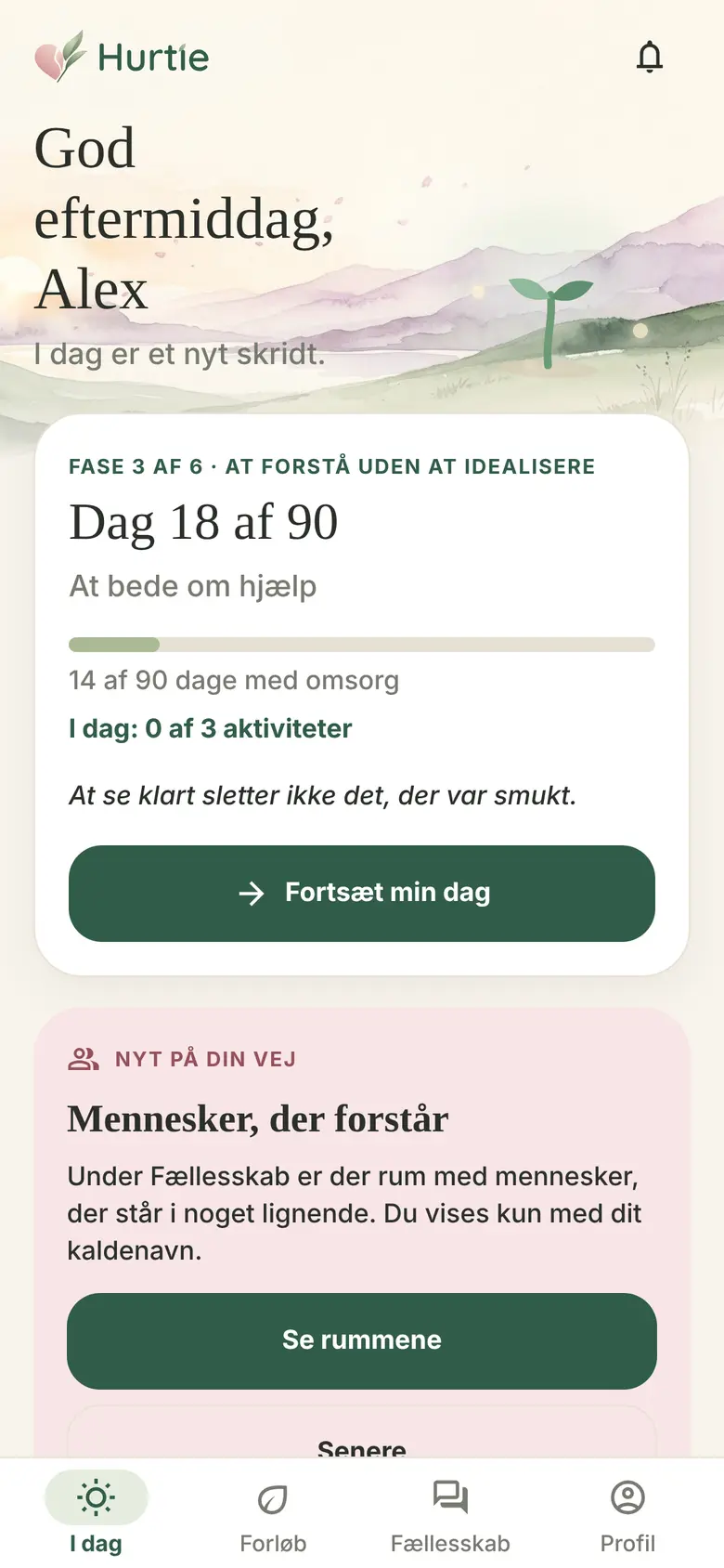 Din dag