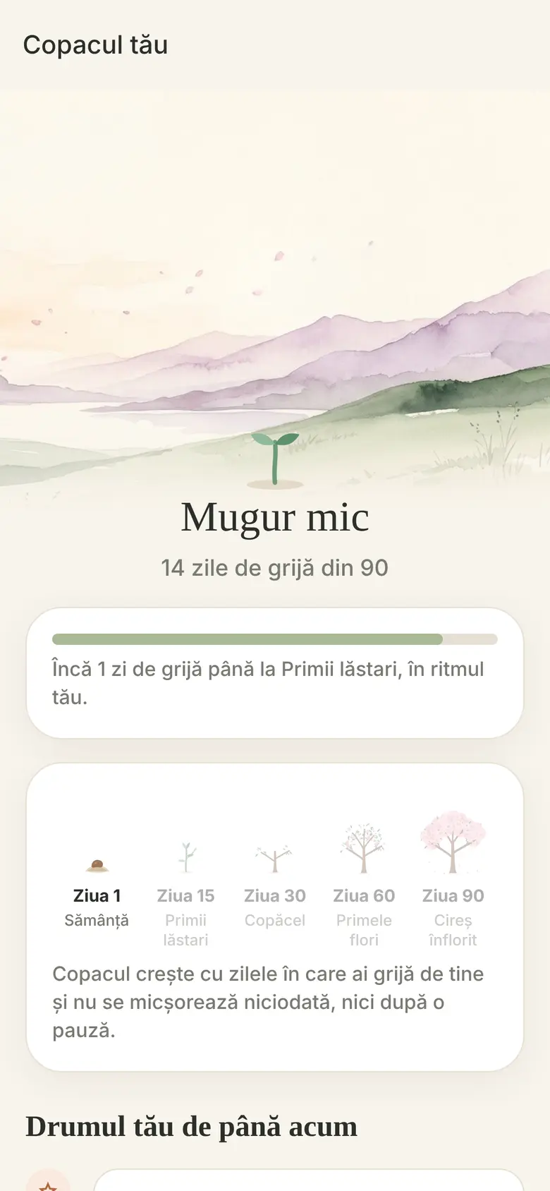 Un copac care crește odată cu tine